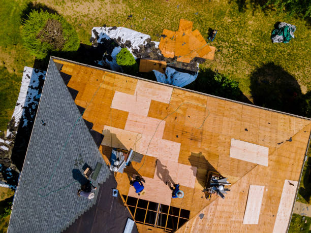 Best Metal Roofing Contractor  in Kingsport, TN