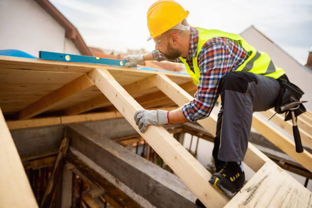 Best Roof Maintenance Services  in Kingsport, TN